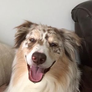 Meet your Posher, Derek